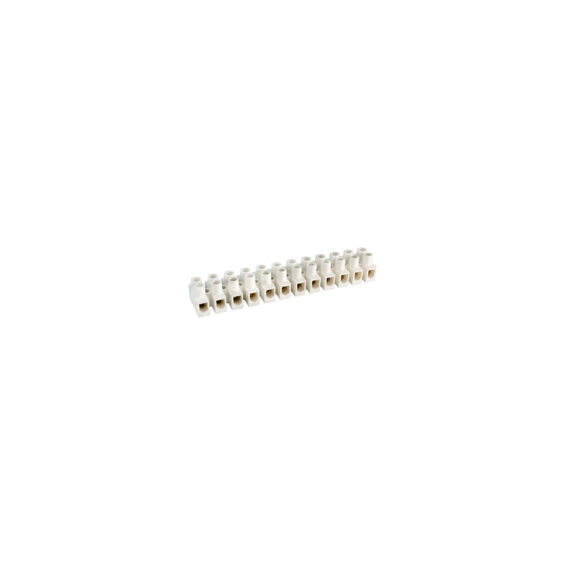 REGLETA 12 CONTACTOS 16A/32A 4MM BLANCA