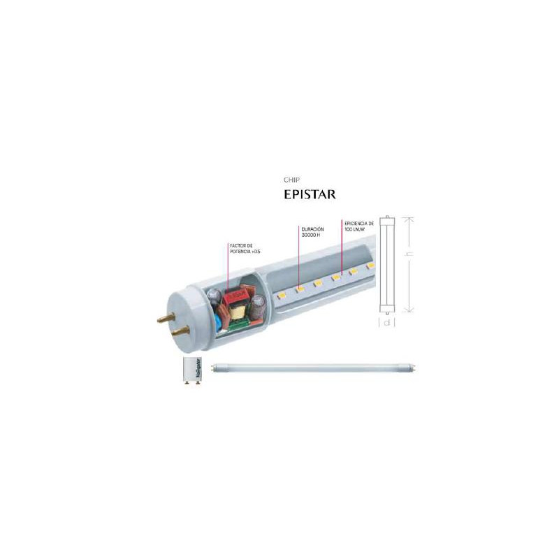 TUBO LED 6500K 1200mm