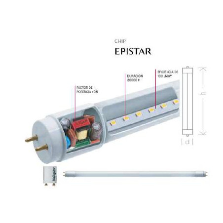 TUBO LED 6500K 1200mm