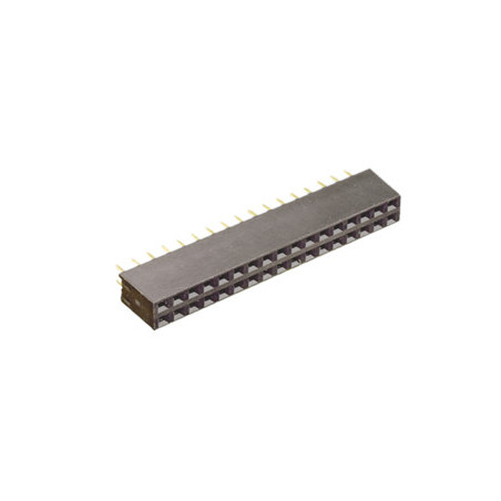 REGLETA 80C DOBLE HEMBRA RECTO