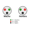 CONECTOR MINI MICRO 4P MACHO