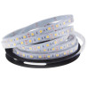 TIRA DE LED 5 METROS 12V IP65 6000K