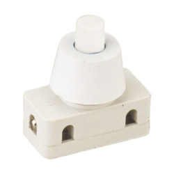 INTERRUPTOR A PULSADOR 2A 250V
