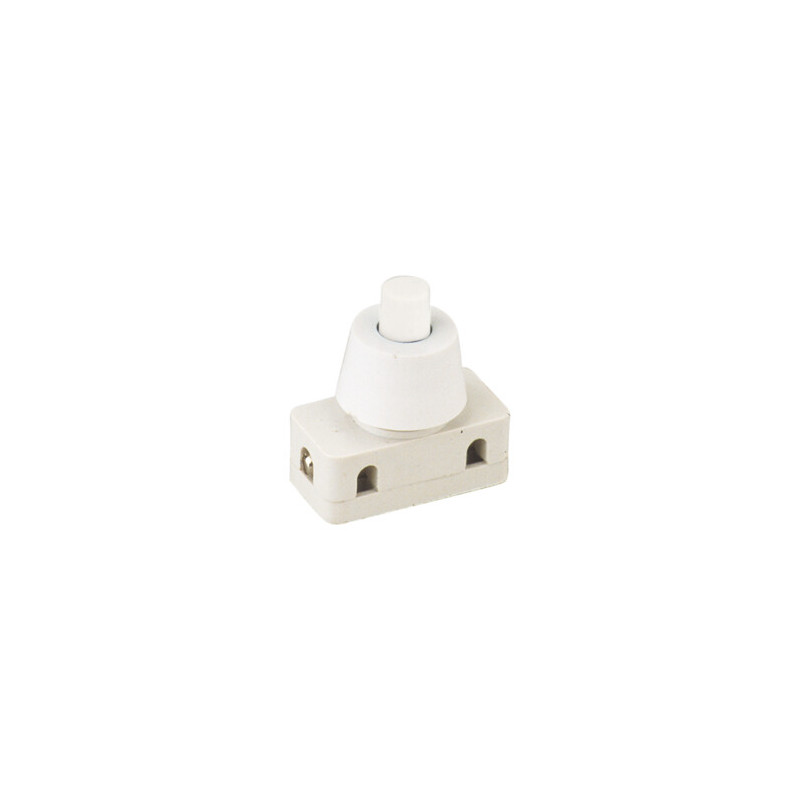 INTERRUPTOR A PULSADOR 2A 250V