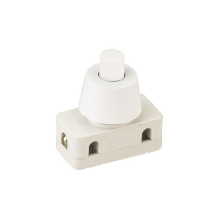 INTERRUPTOR A PULSADOR 2A 250V