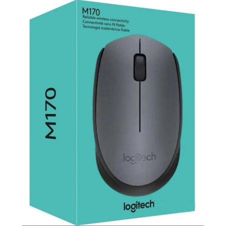 RATON INALAMBRICO LOGITECH M170 910-00642
