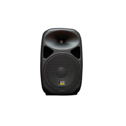 CAJA ACUSTICA BIAMPLIFICADA 12  300W