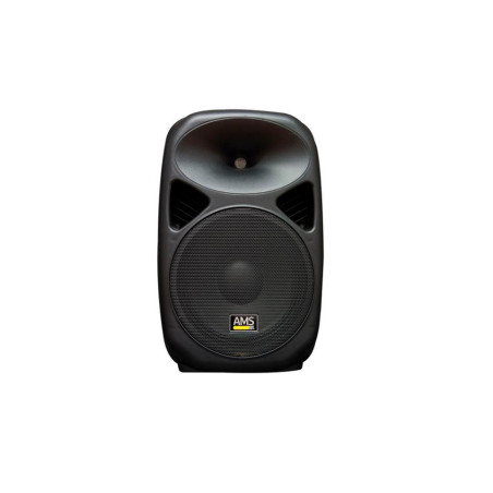 CAJA ACUSTICA BIAMPLIFICADA 12  300W