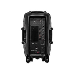 CAJA ACUSTICA BIAMPLIFICADA 12  300W