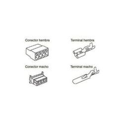 CONJUNTO CAJA CONECTORA 6 VIAS