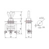 INTERRUPTOR 3P ON-OFF-ON 10A 250V