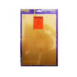 PLACA VIRGEN BAQUELITA 1 CARA 100x200mm VB100X200