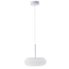 Lámpara LED de Techo  56W - DSC  CCT