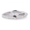 Tira LED 24V SMD Clasic IP20 RGB 12W/m - 10 Metros