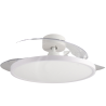 Ventilador de techo LED Paack Ø107 cm -DSC  CCT