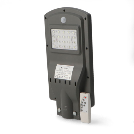 Farola Solar LED para Alumbrado Público 20W con Sensor - DSC  6000K