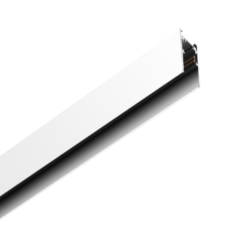Carril magnético 2 metros Serie 20mm - DSC  Blanco