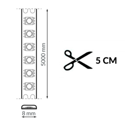Tira LED 24V SMD Clasic IP20 12W/m - 5 Metros - DSC  4000K