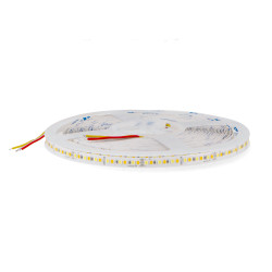 Tira Led 24V Smd Ziadna Ip20 CCT 12W/m - 10 Metros  CCT