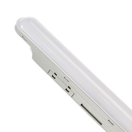 Pantalla estanca LED Races 20W 600 mm CCT Enlazable  CCT