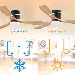 Ventilador de techo LED Black Energy  CCT