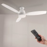 Ventilador de techo LED White Bass - DSC  CCT