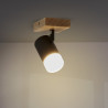 Lámpara de Techo Serie Black Wood 1 Focos GU10