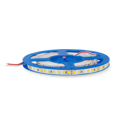 Tira LED 24V SMD Clasic IP20 12W/m - 5 Metros - DSC  Rojo