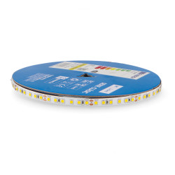 Tira LED 24V SMD Clasic IP20 12W/m - 10 Metros  Rojo