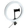 Kit Aro / Anillo de Luz LED Selfie 10 Pulgadas  CCT
