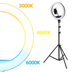 Kit Aro / Anillo de Luz LED Selfie 10 Pulgadas  CCT