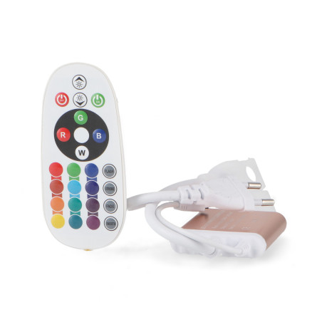 Controlador para Tiras LED RGB Fast 220V con mando