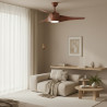 Ventilador de Techo LED Madera Fanton  CCT
