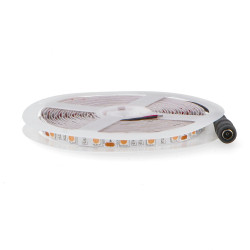 Tira LED 12V SMD IP20 Purple 14W/m - 5 Metros  Purple