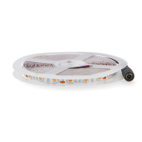 Tira LED 12V SMD IP20 Purple 14W/m - 5 Metros  Purple