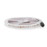 Tira LED 12V SMD IP20 Purple 14W/m - 5 Metros  Purple