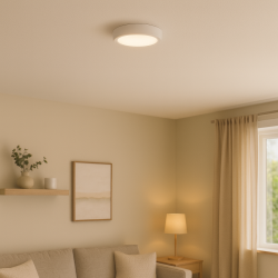 Panel de Superficie Serie Slim Circular 6W  3000K