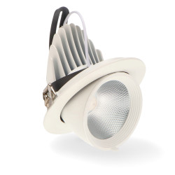 Foco Downlight LED orientable Track 30W - DSC  3000K