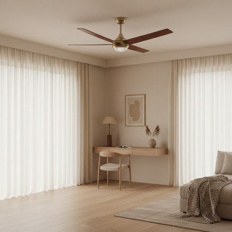 Ventilador de techo LED Easymal - DSC  CCT