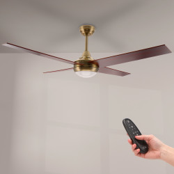 Ventilador de techo LED Easymal - DSC  CCT