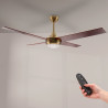 Ventilador de techo LED Easymal - DSC  CCT