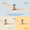 Ventilador de techo LED Nickel Wood - DSC  CCT