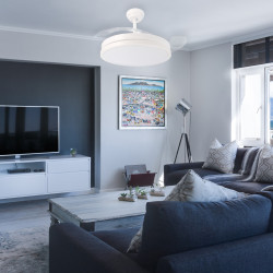Ventilador de techo LED Herben 68W Ø107 cm - DSC  CCT