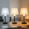 Bombilla LED E27 A60 15W  6500K