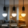 Bombilla LED E27 A60 12W  6500K