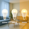 Bombilla LED E27 A55 6W  6500K