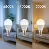 Bombilla LED E14 G45 7W  6500K