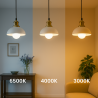 Bombilla LED E27 G45 7W  4000K