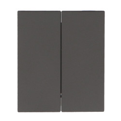 Interruptor Doble Conmutado - CC  Gris