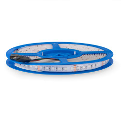 Tira LED 24V SMD Clasic IP65 RGB 12W/m - 5 Metros  RGB